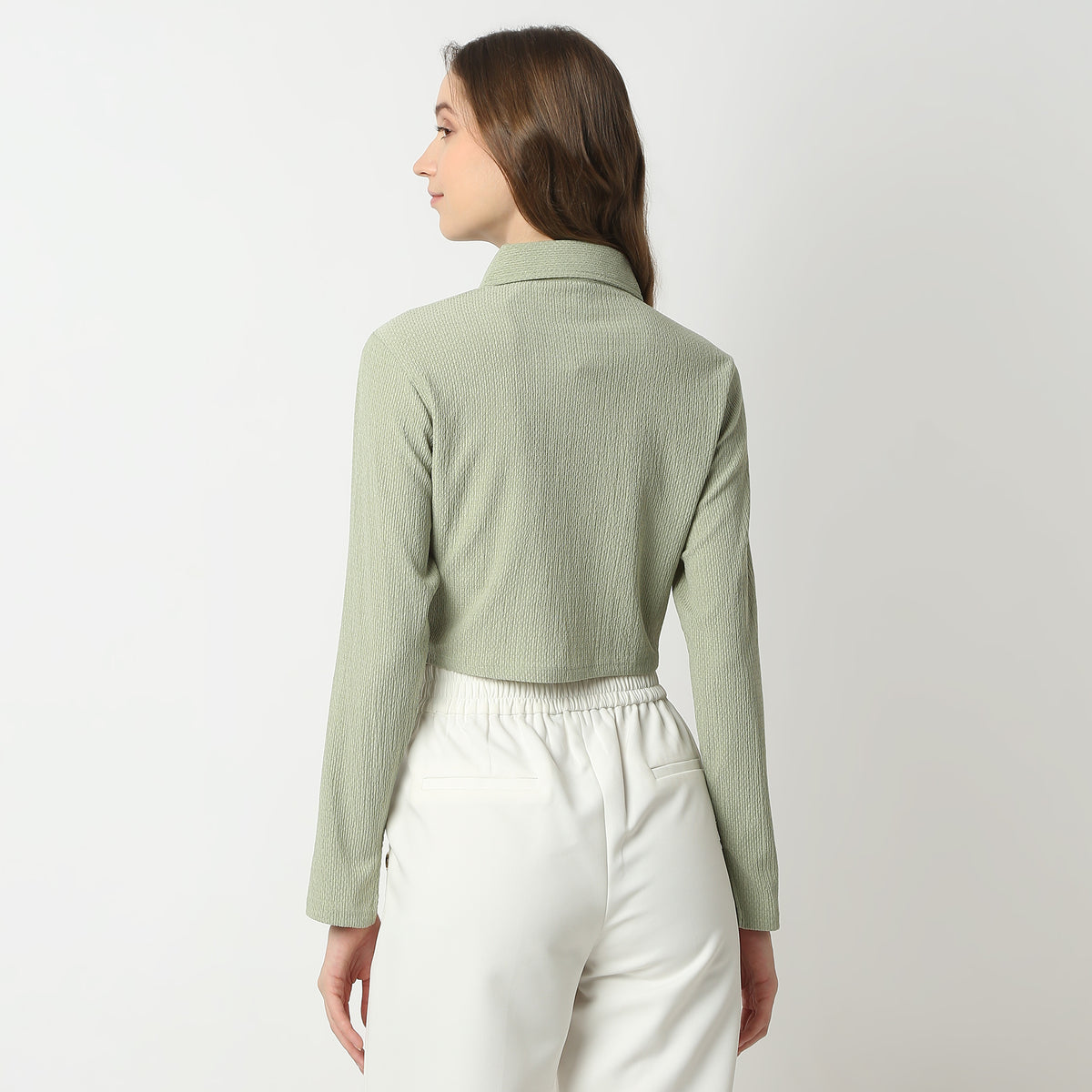 Regular Fit Solid Shirt Collar Shirt