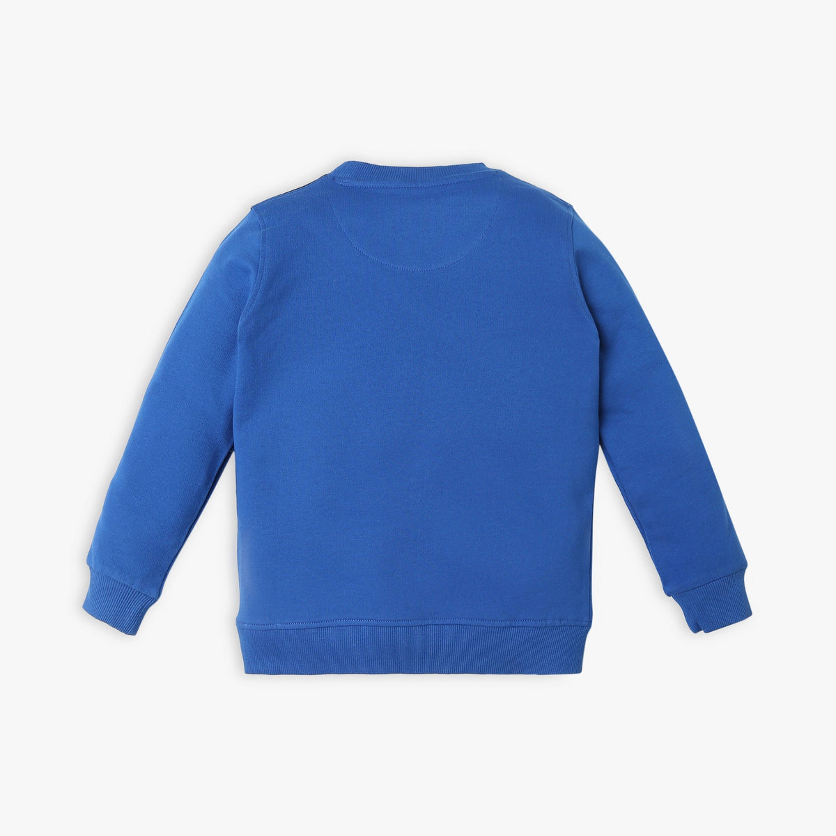 Boy's Regular Fit Printed Sweat Tees