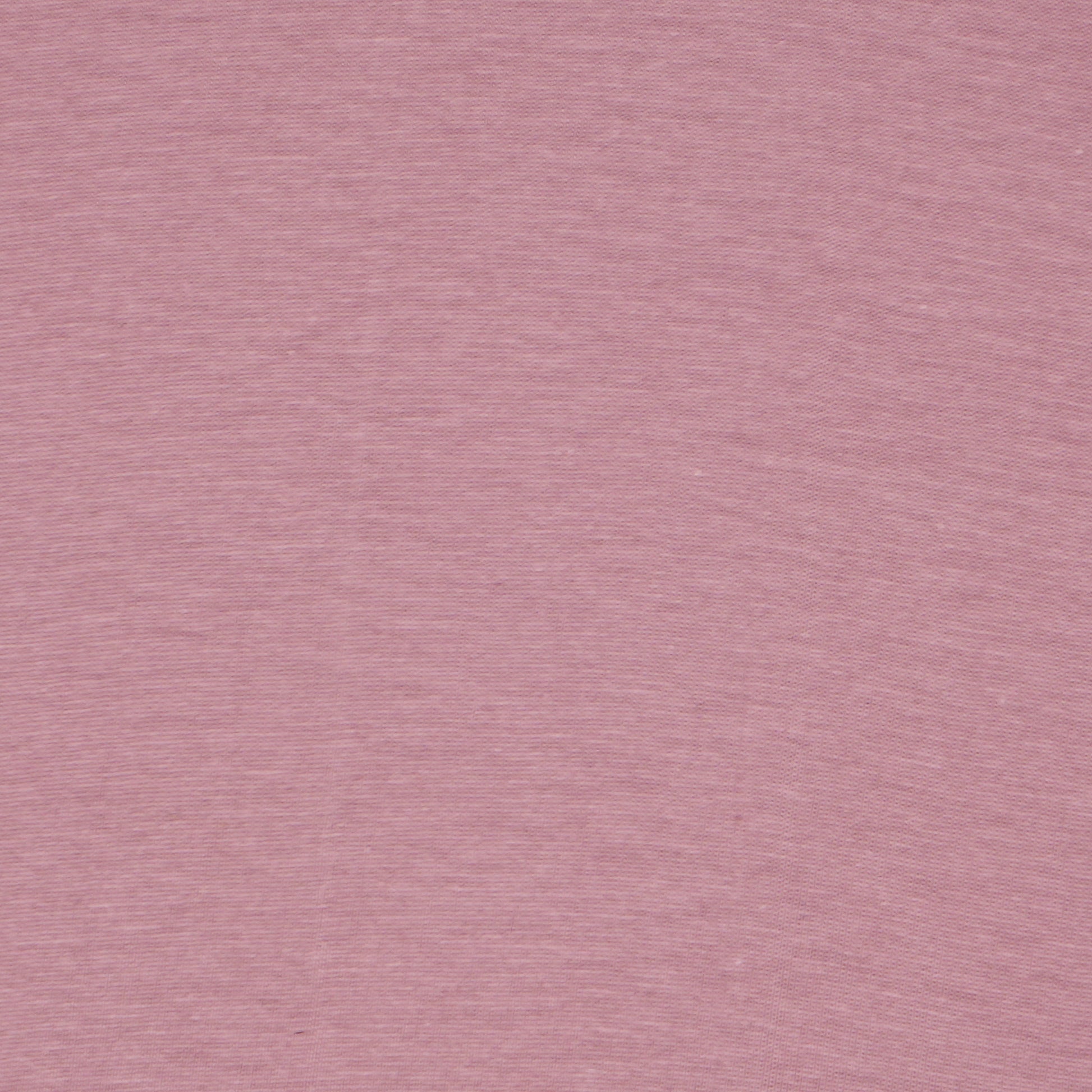 Boys Cotton Crew Neck T-Shirt