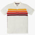 Boys Regular Fit Striped Polo T-Shirt