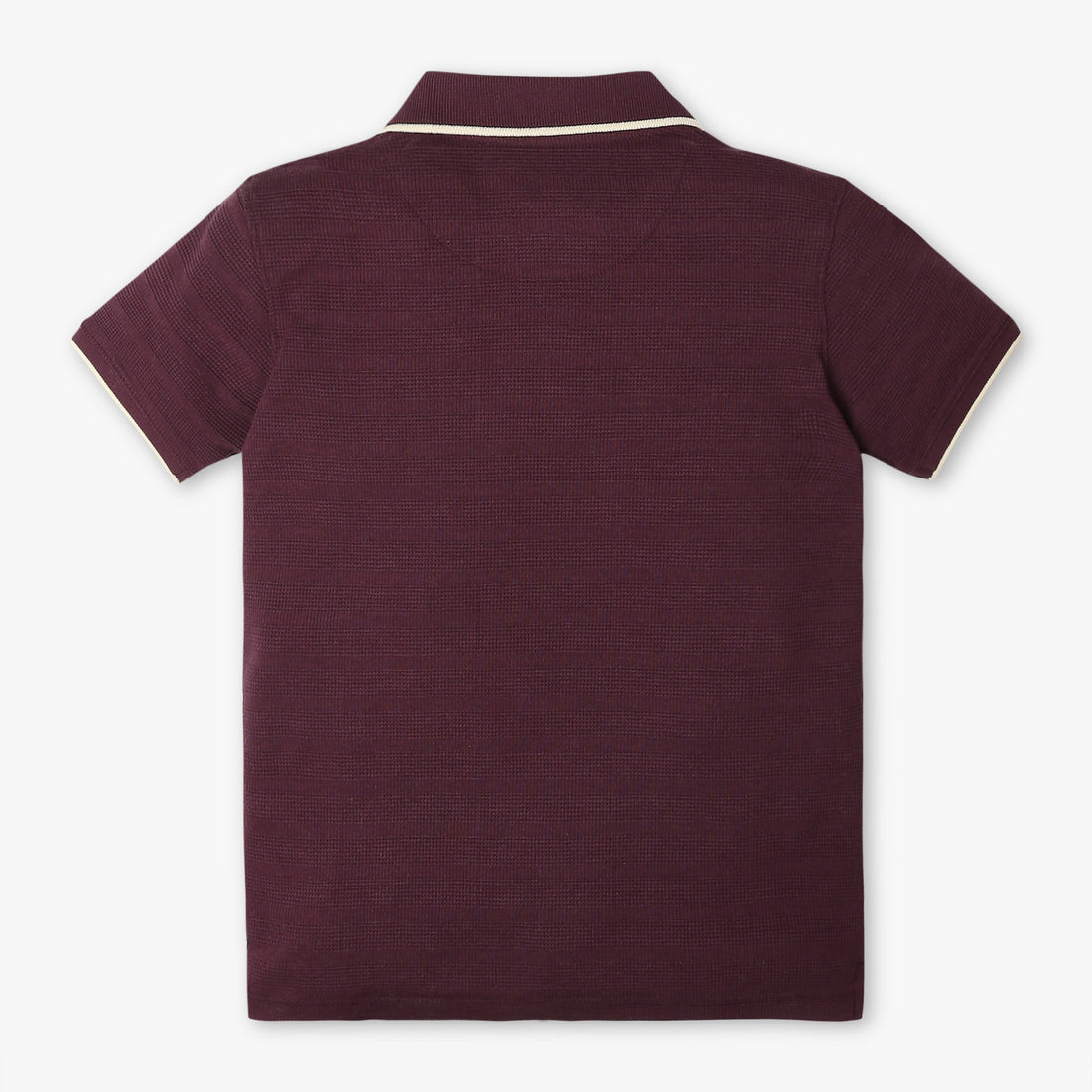 Boys Regular Fit Solid Polo Neck Half Sleeve Polo T-Shirt