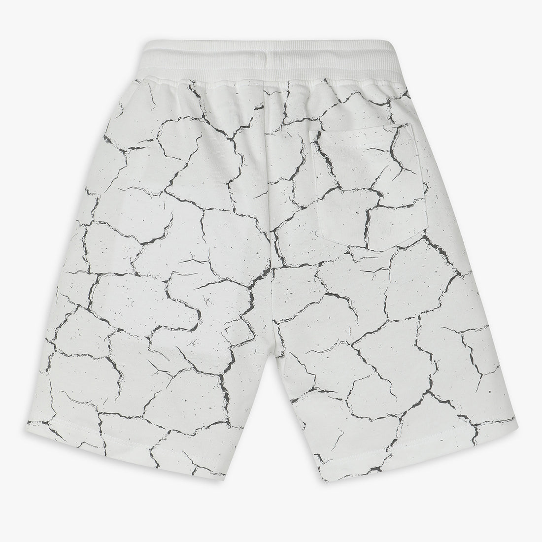 Boys Regular Fit Printed Shorts
