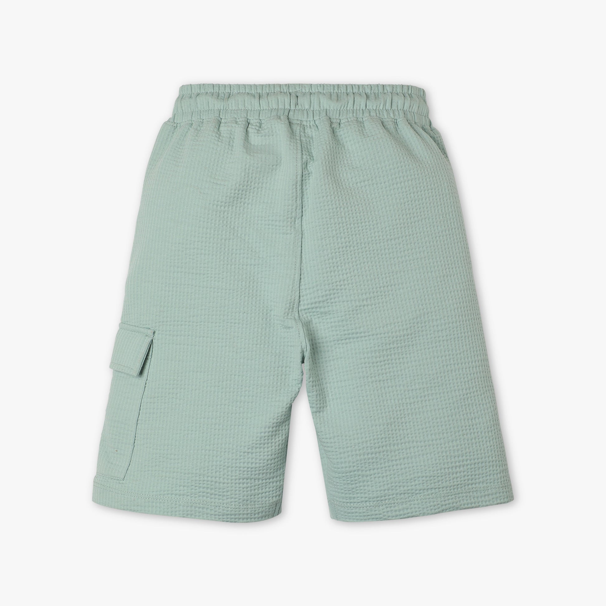 Boys Regular Fit Solid Mid Rise Shorts