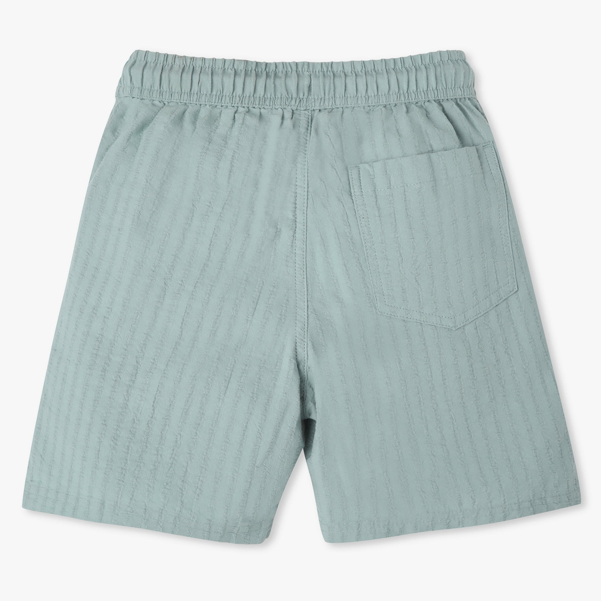 Boys Regular Fit Pull On Shorts