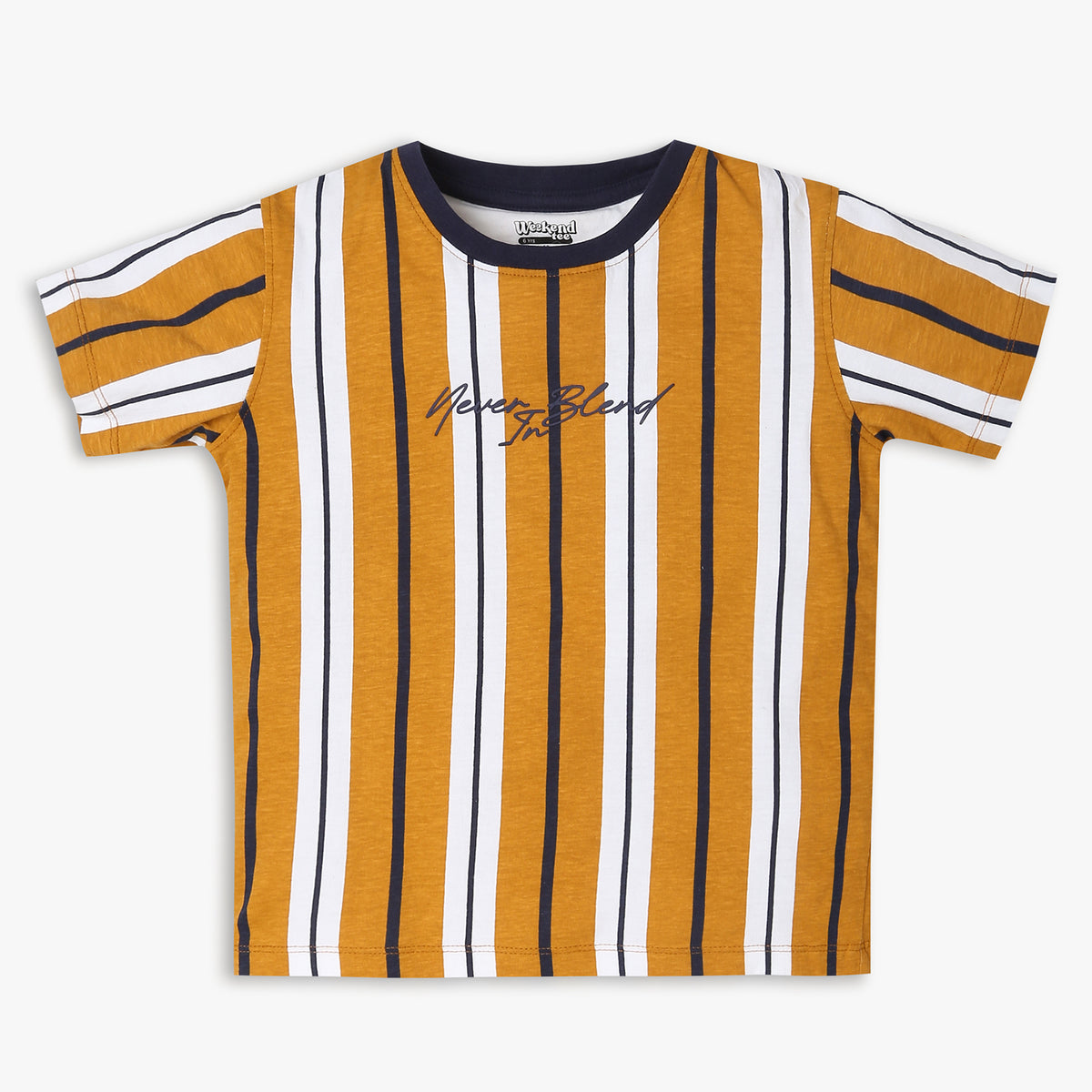 Boys Regular Fit Striped T-Shirt