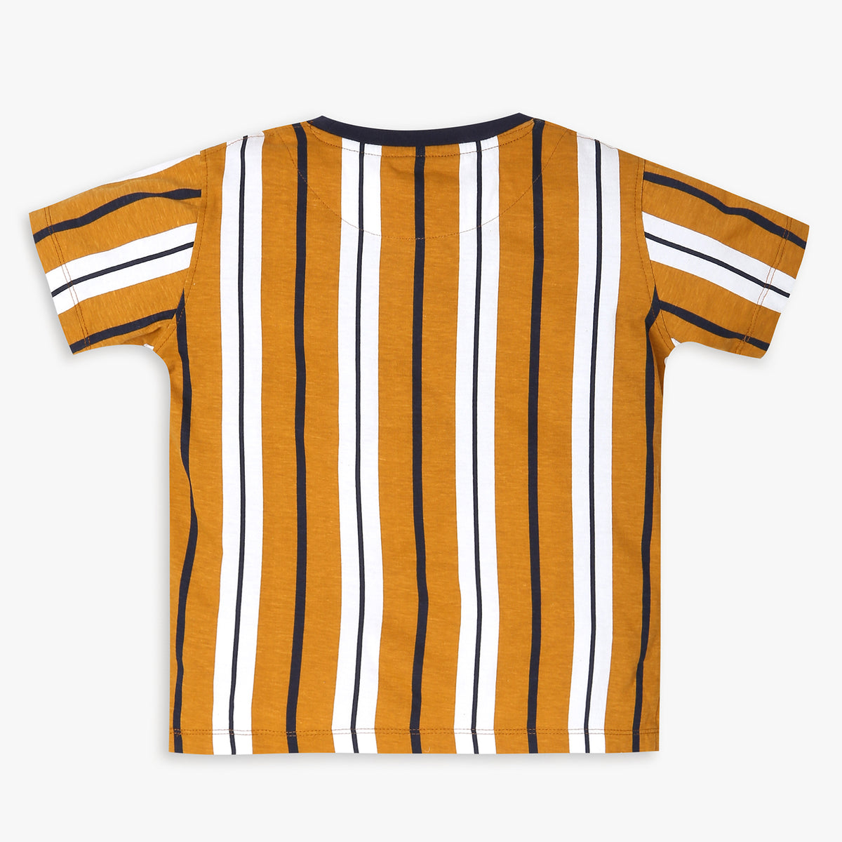 Boys Regular Fit Striped T-Shirt