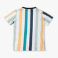 Boys Regular Fit Crew Neck Striped T-Shirt