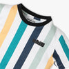Boys Regular Fit Crew Neck Striped T-Shirt