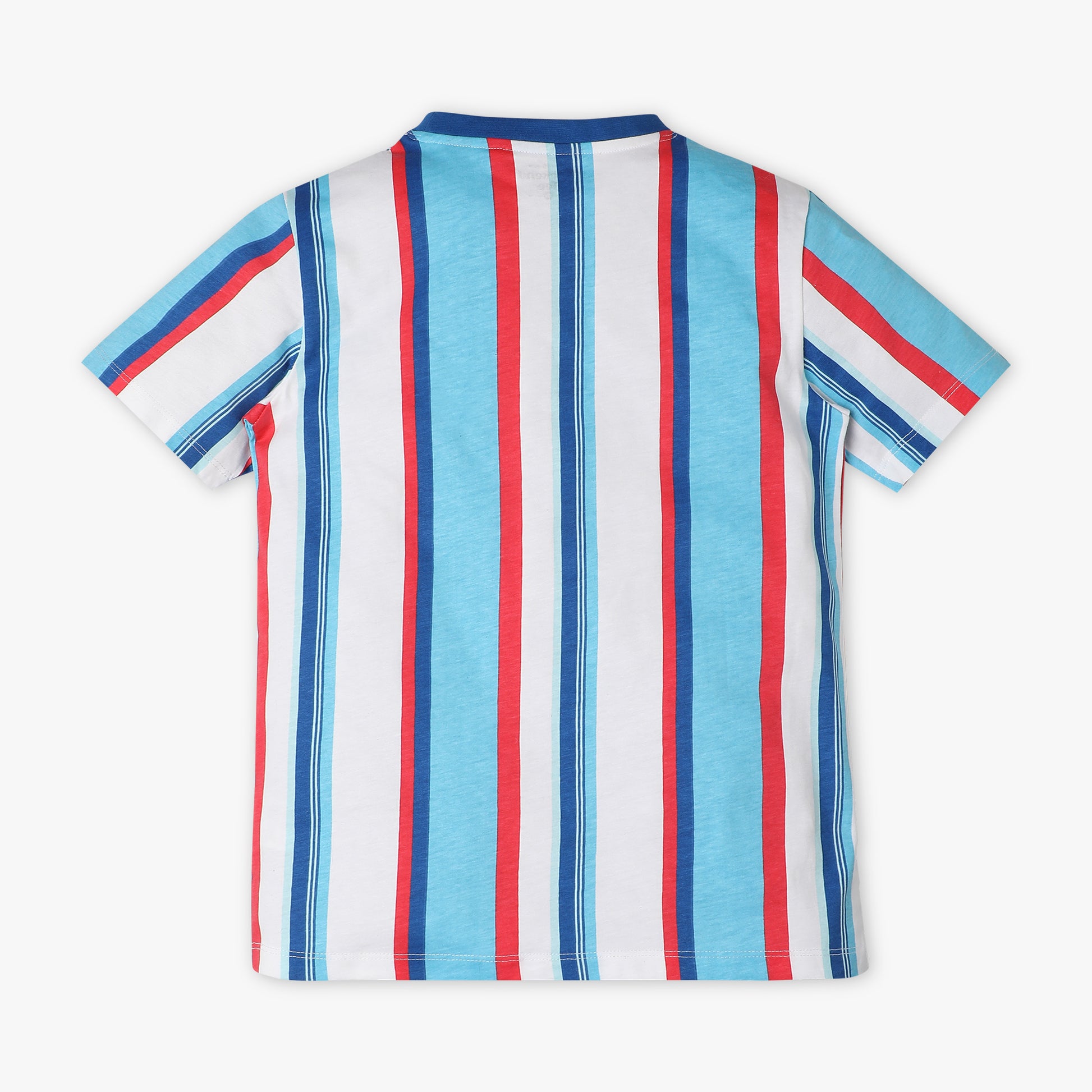 Boys Regular Fit Crew Neck Striped T-Shirt
