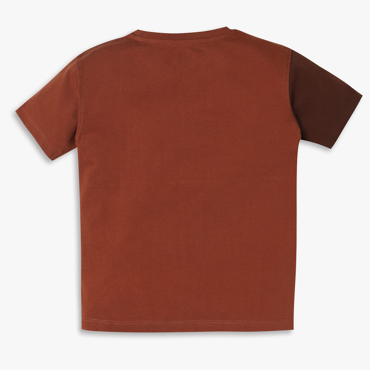 Boys Regular Fit Cut and Sew T-Shirt