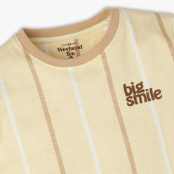 Boys Regular Fit Striped Crew Neck Half Sleeve T-Shirt
