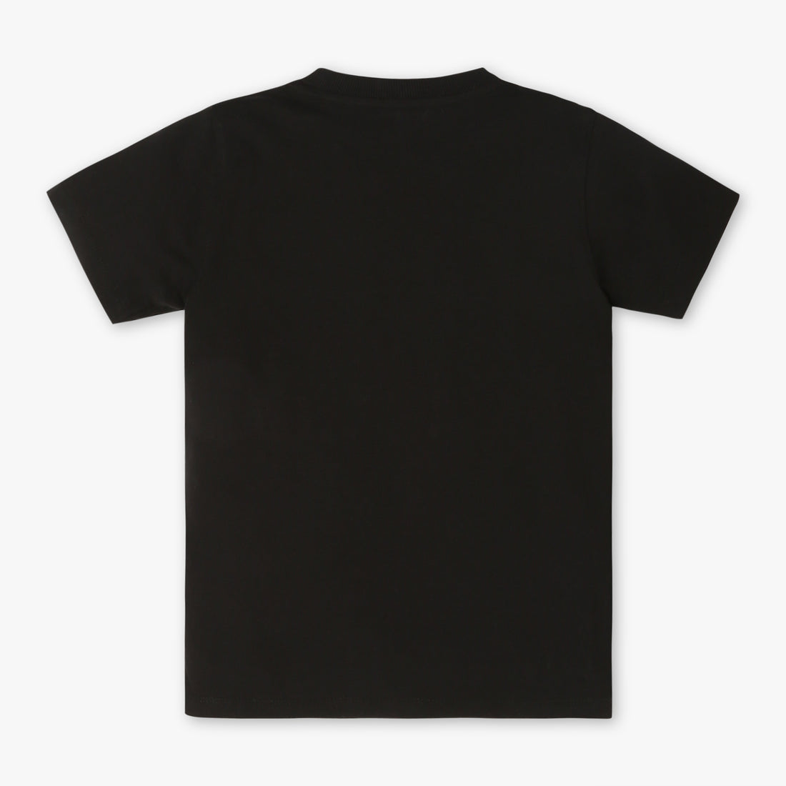 Boys Regular Fit Printed Crew Neck Half Sleeve T-Shirt