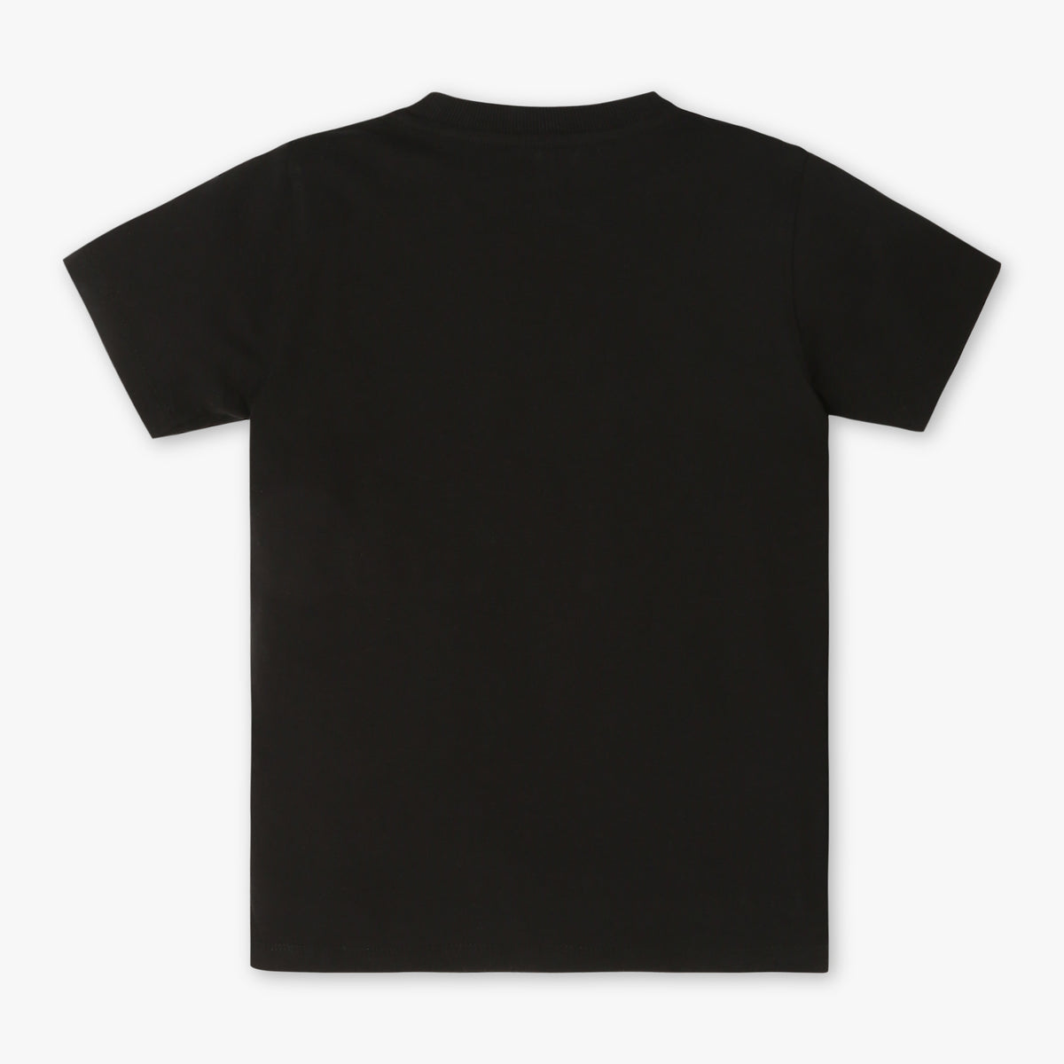 Boys Regular Fit Printed Crew Neck Half Sleeve T-Shirt