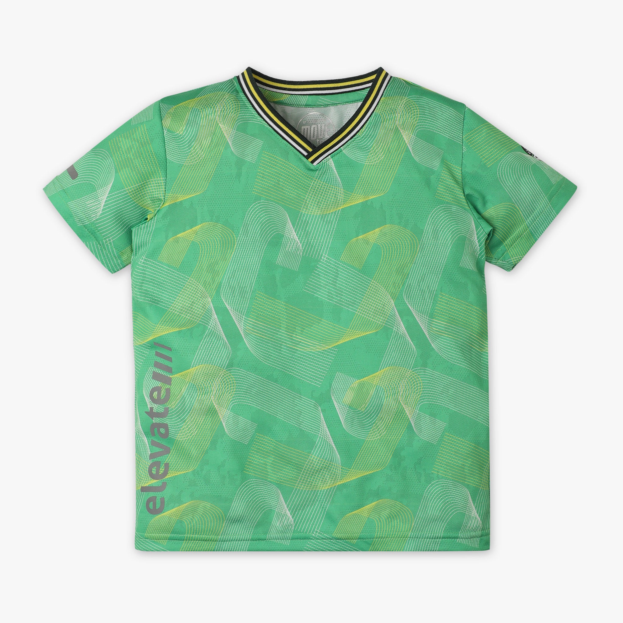Boys Regular Fit Crew Neck Printed T-Shirt