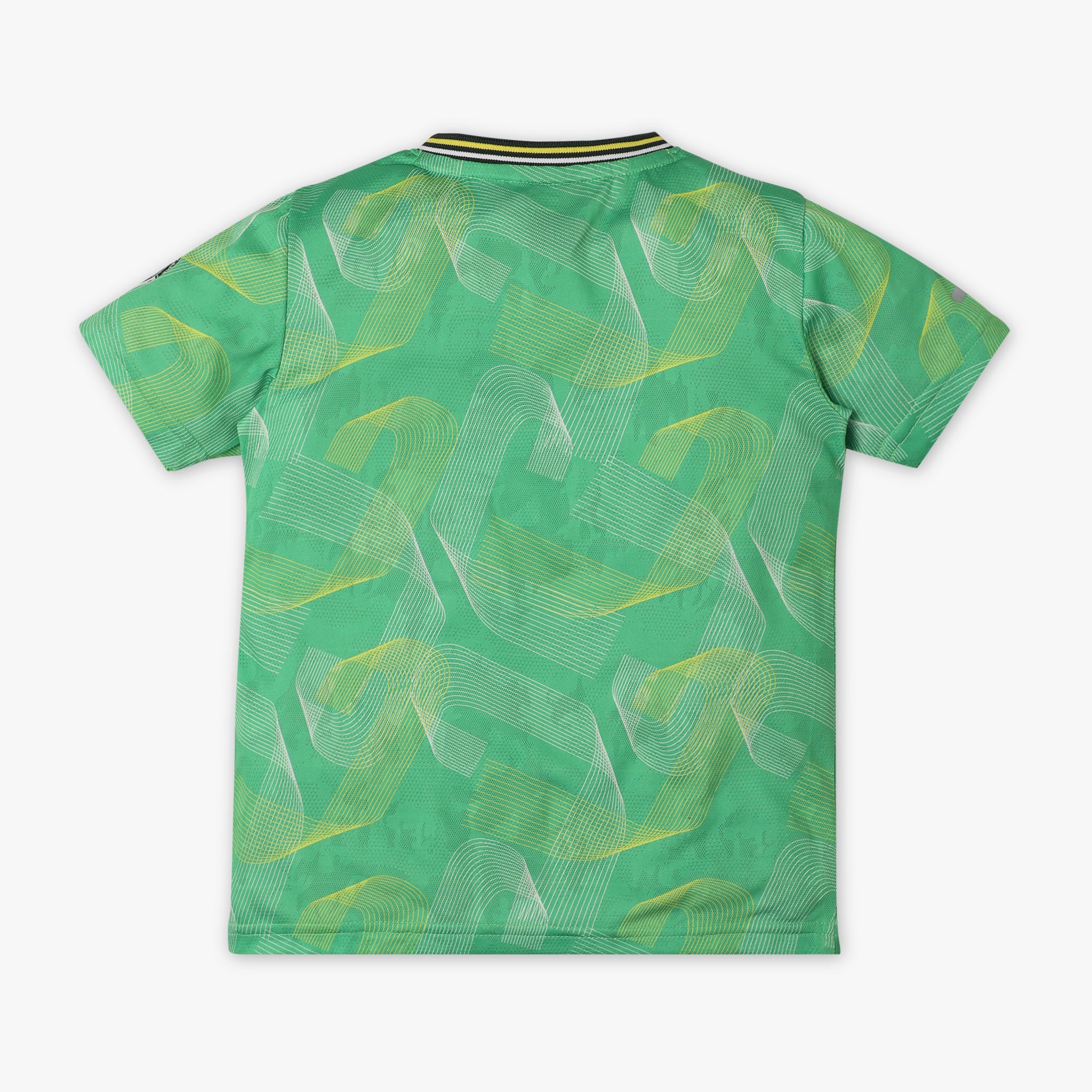 Boys Regular Fit Crew Neck Printed T-Shirt