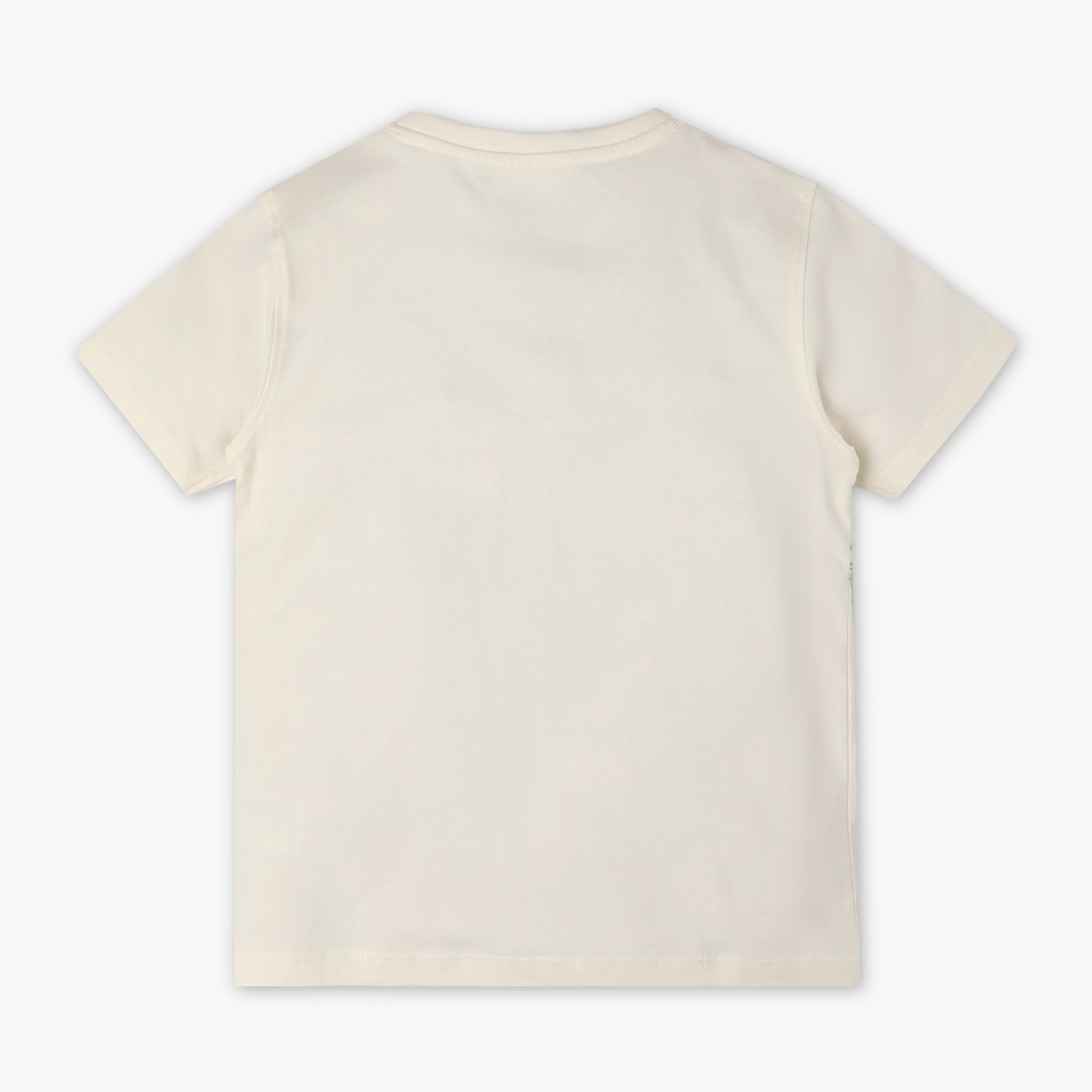 Boys Regular Fit Printed Crew Neck Half Sleeve T-Shirt