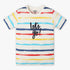 Boys Regular Fit Striped Crew Neck Half Sleeve T-Shirt