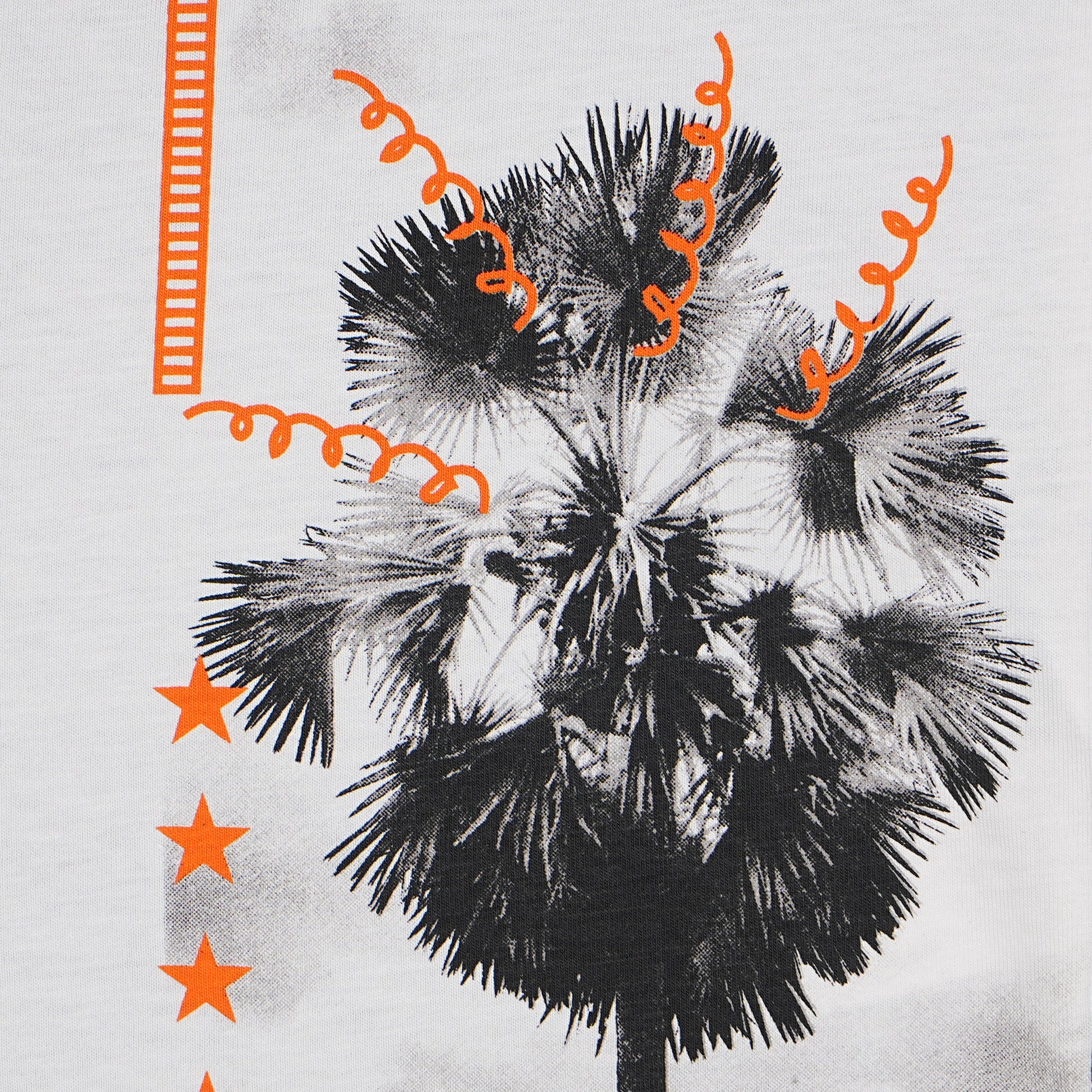 Boys Cotton Printed T-Shirt