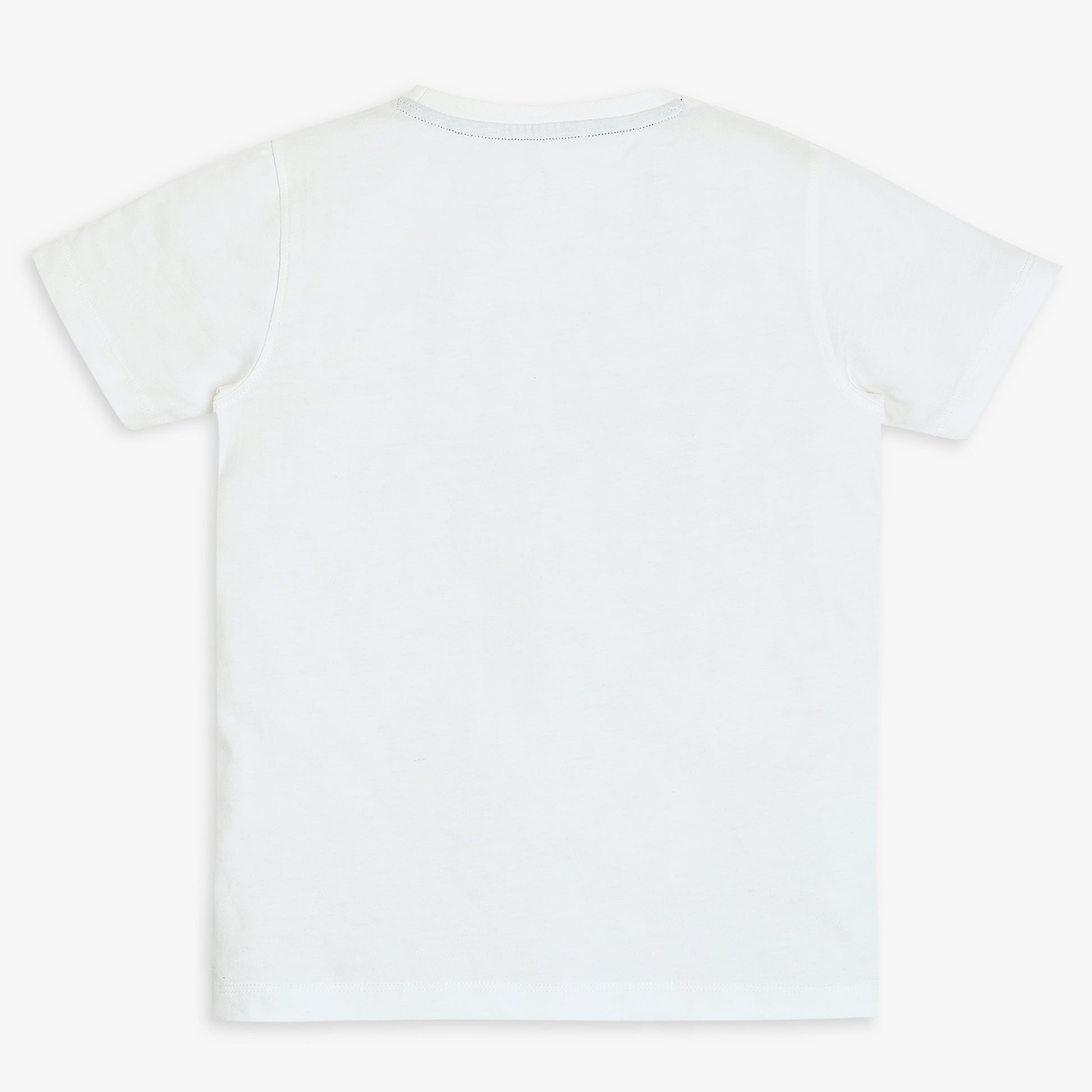 Boys Regular Fit Graphic T-Shirt