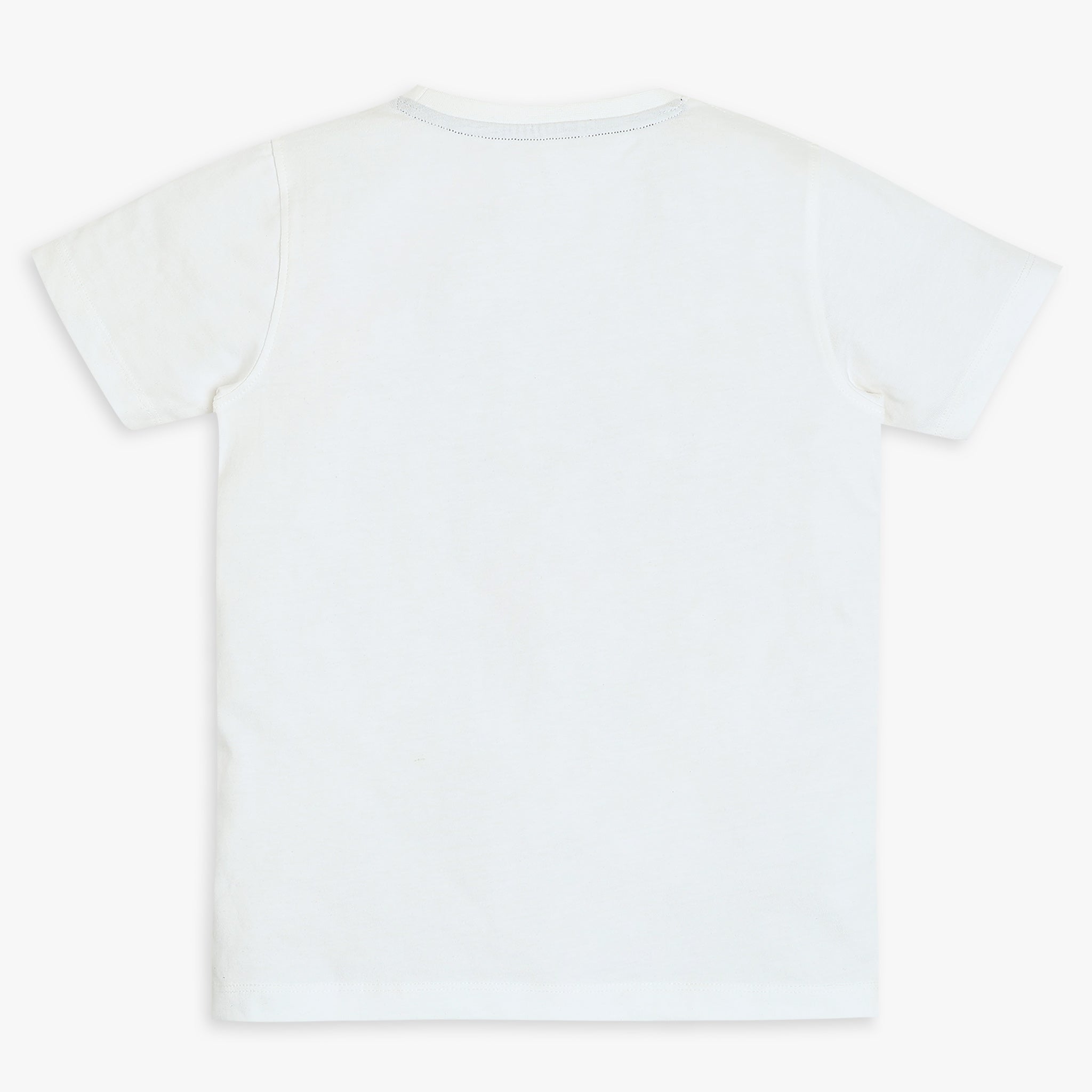Boys Regular Fit Graphic T-Shirt