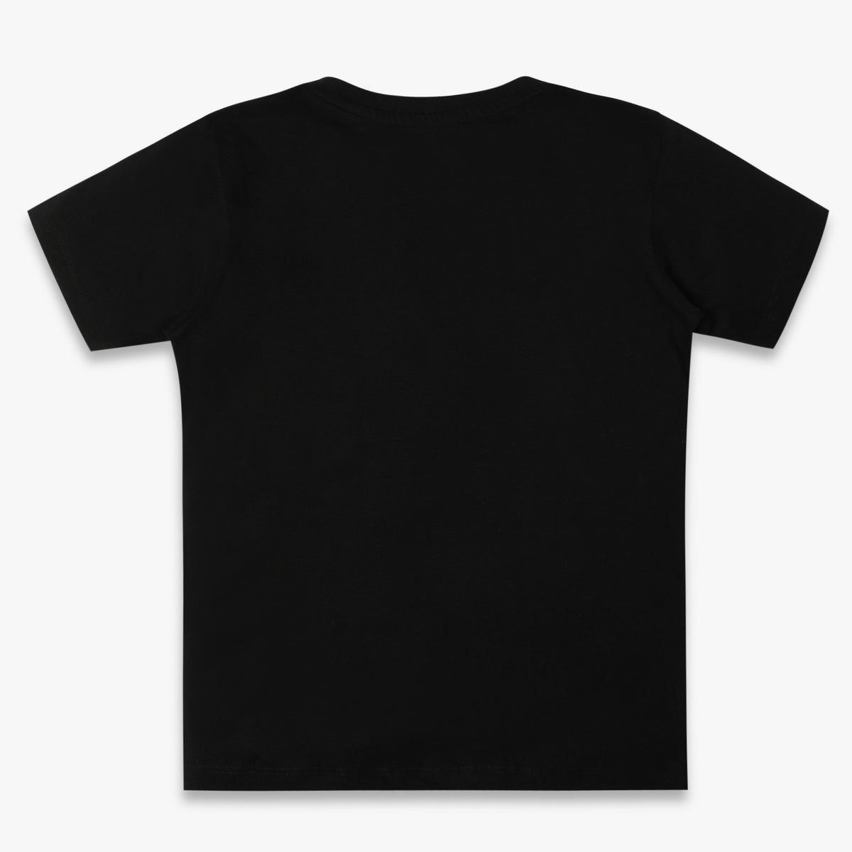 Boys Regular Fit Graphic T-Shirt