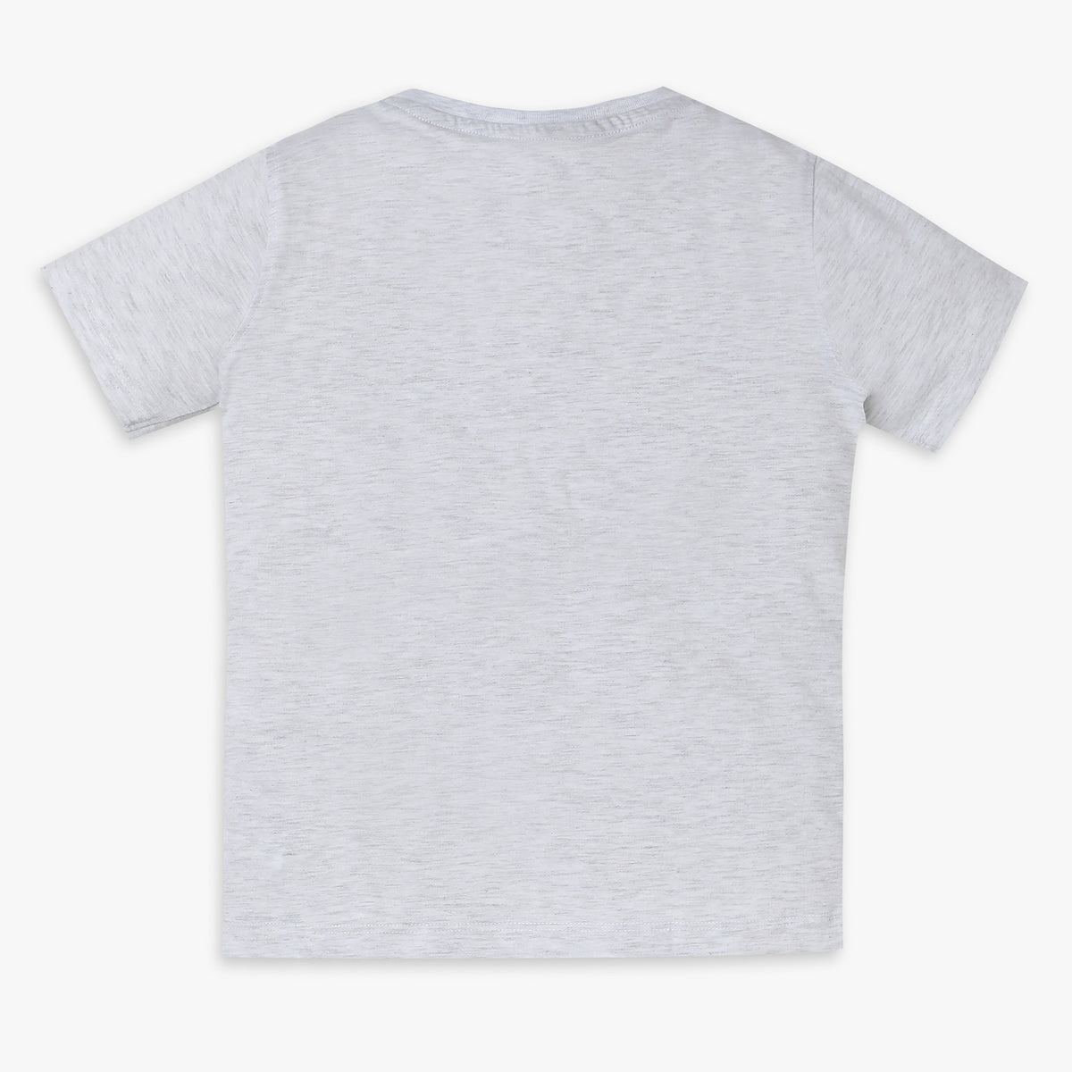 Boys Regular Fit Printed T-Shirt