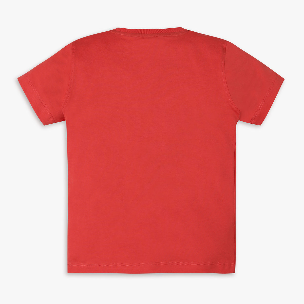 Boys Regular Fit Printed T-Shirt