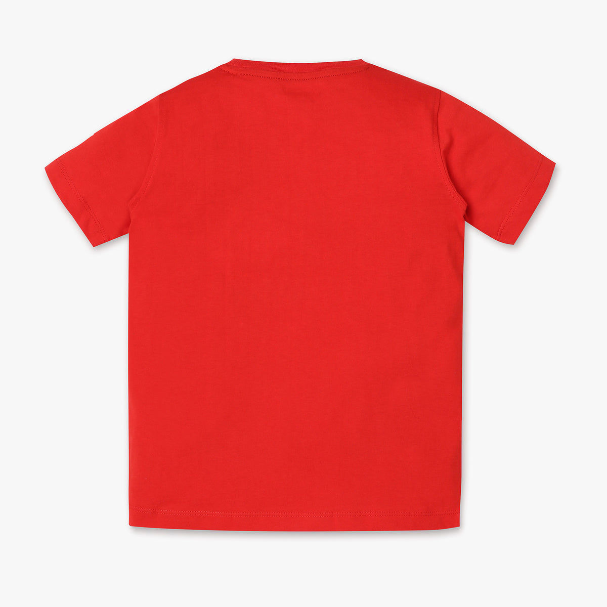 Boys Regular Fit Graphic T-Shirt