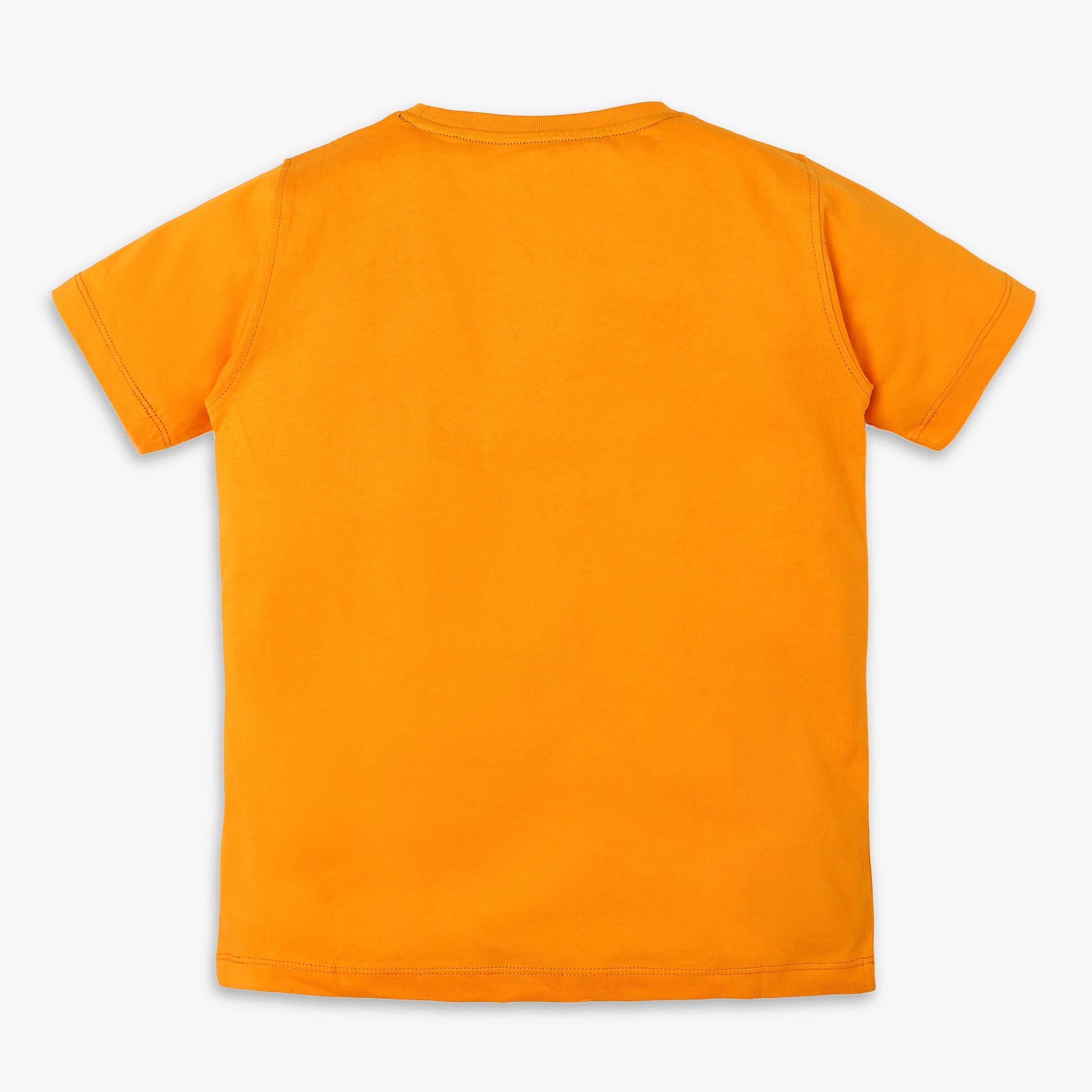 Boys Regular Fit Graphic T-Shirt