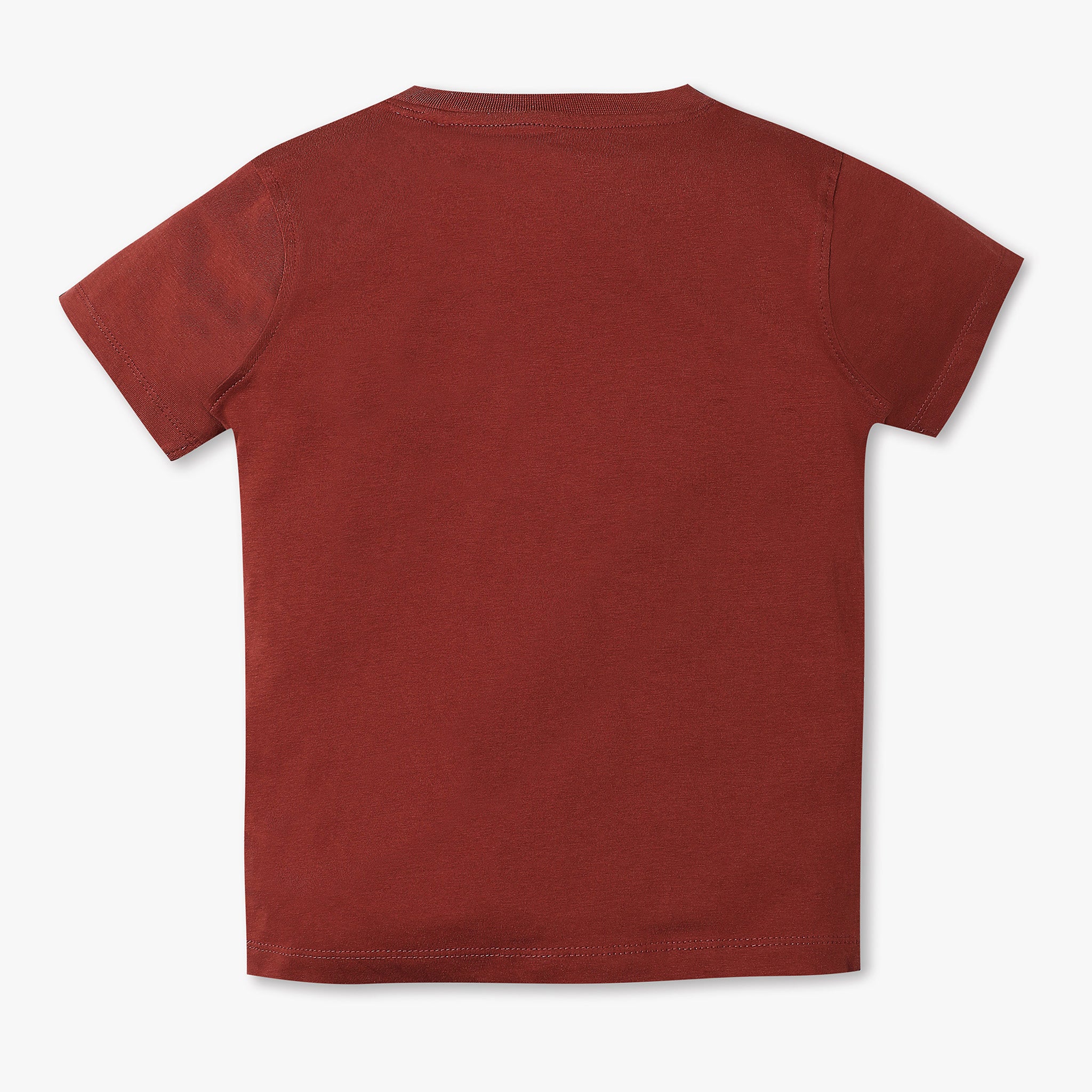 Boys Regular Fit Graphic Crew Neck T-Shirt