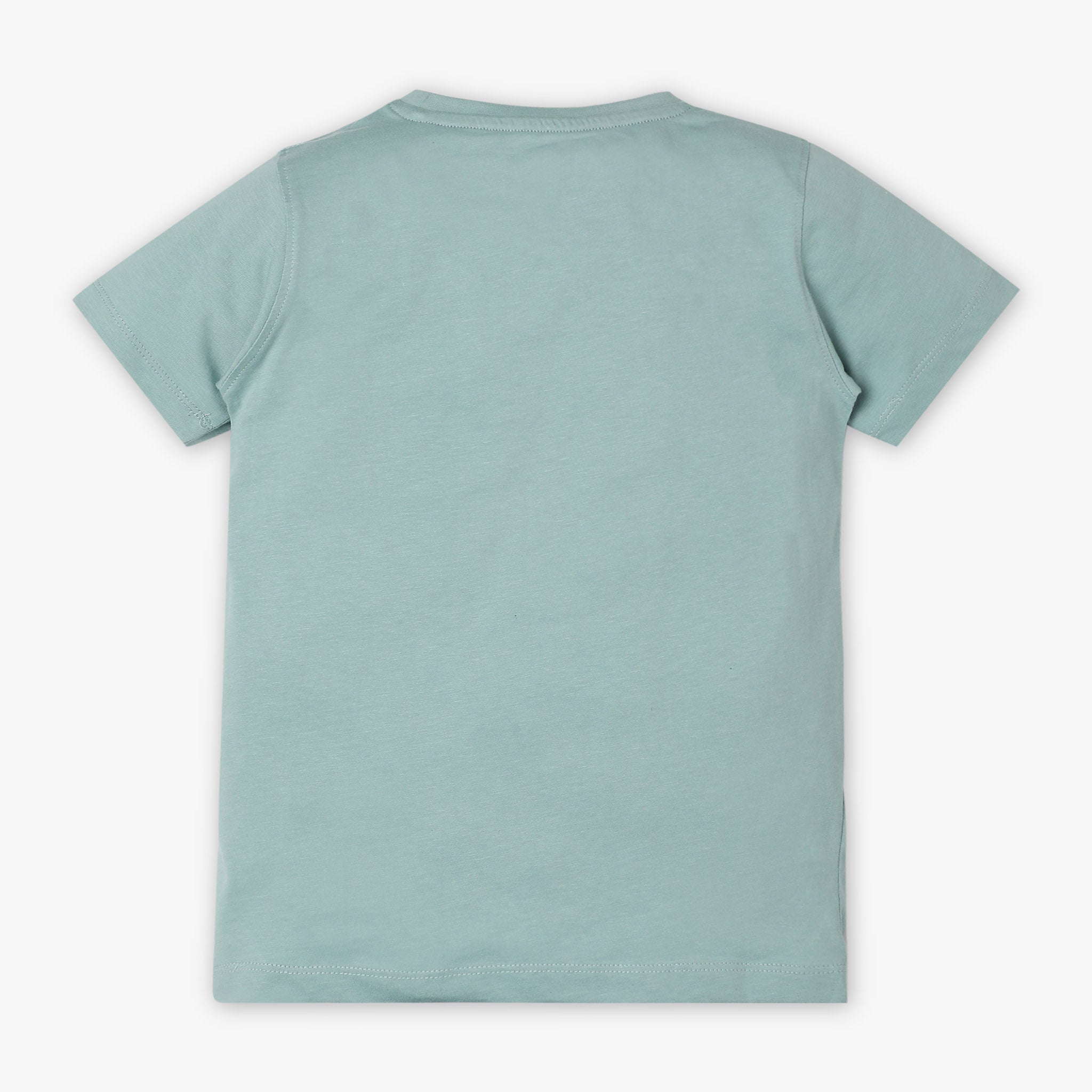 Boys Regular Fit Crew Neck Graphic T-Shirt