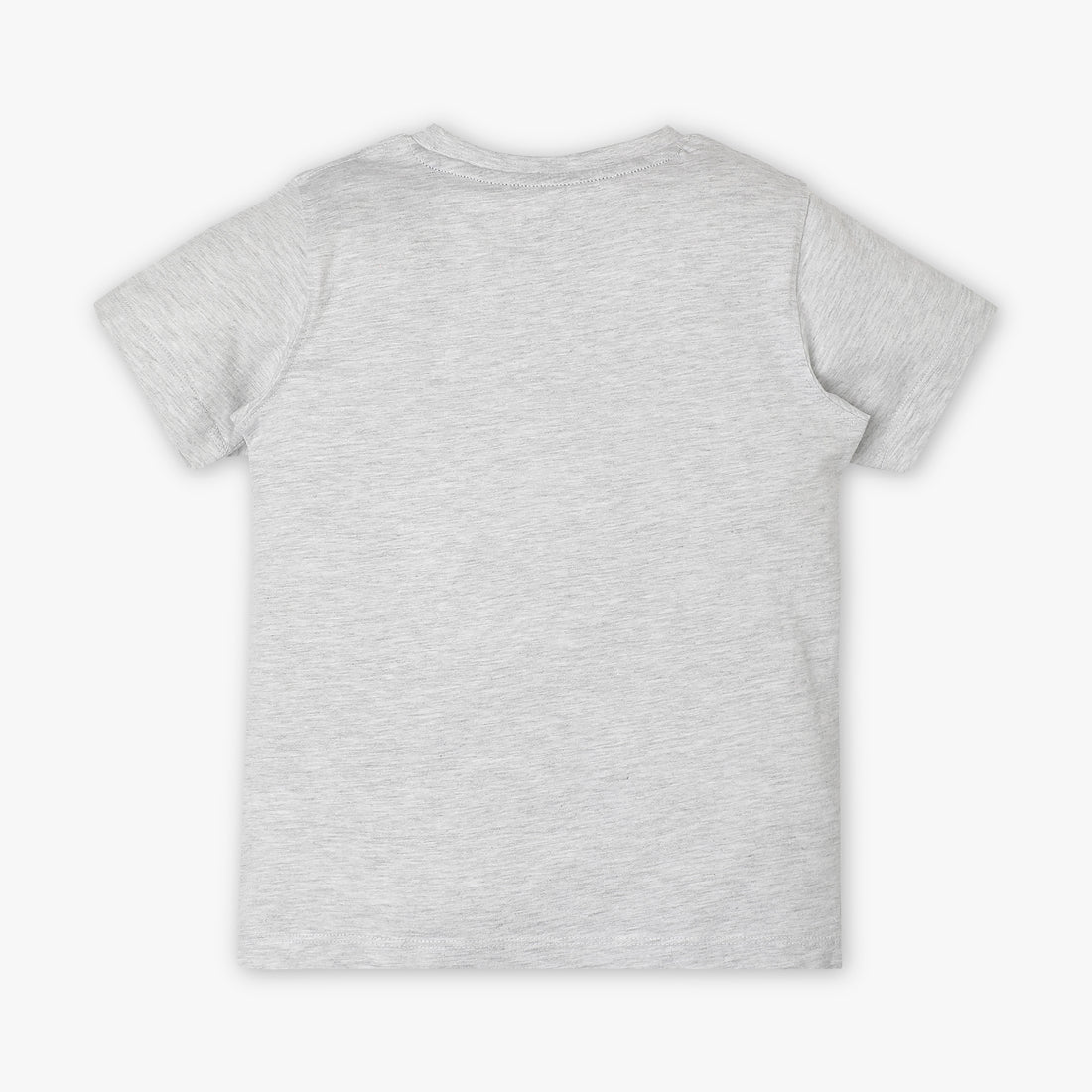 Boys Regular Fit Crew Neck Graphic T-Shirt