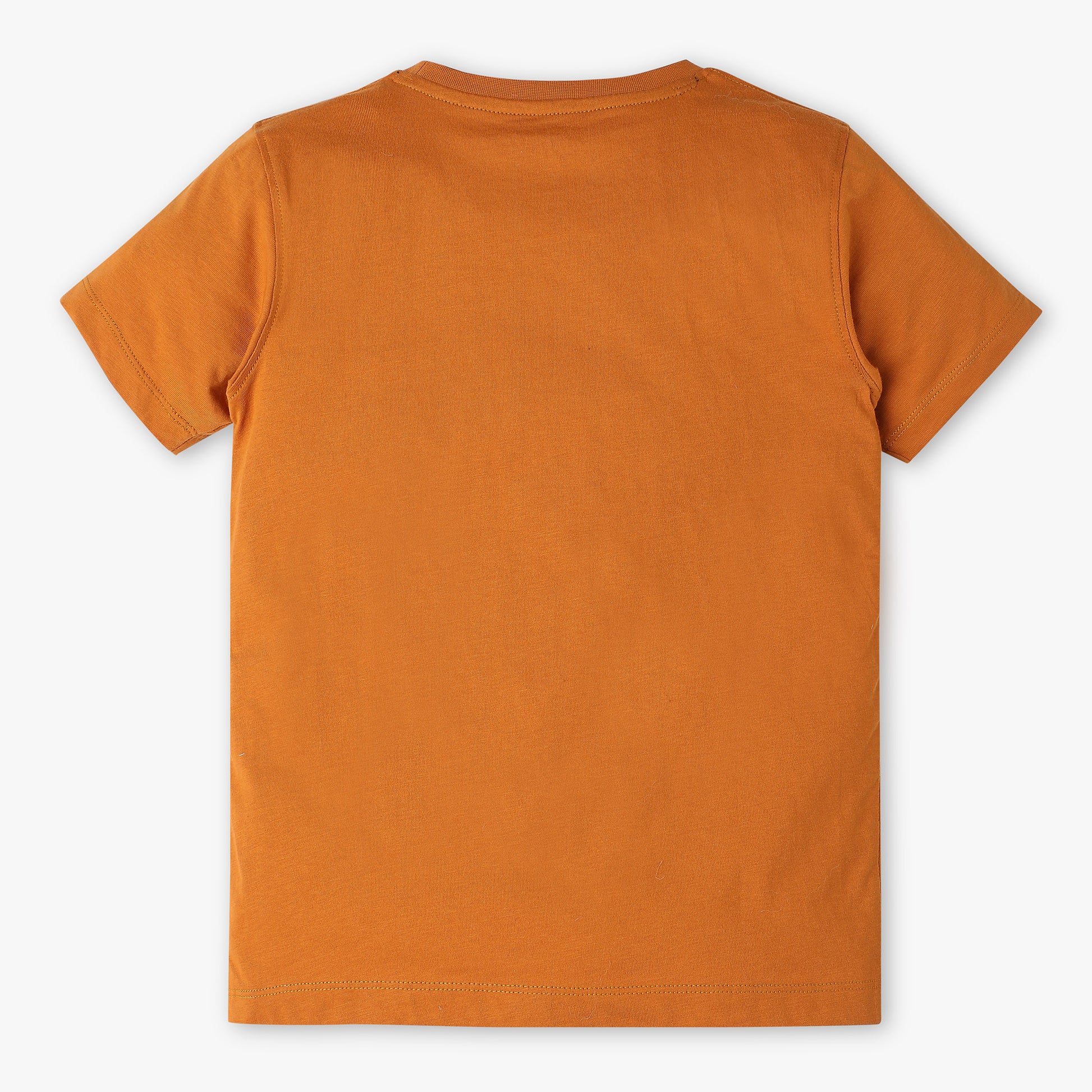 Boys Graphic Crew Neck T-Shirt