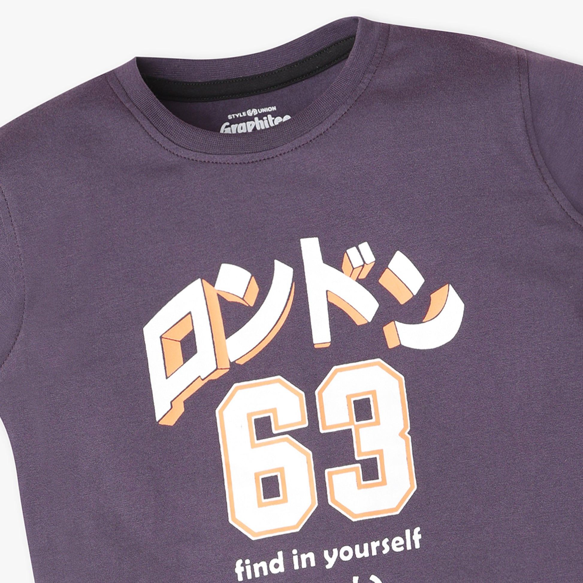 Boys Regular Fit Graphic Crew Neck T-Shirt