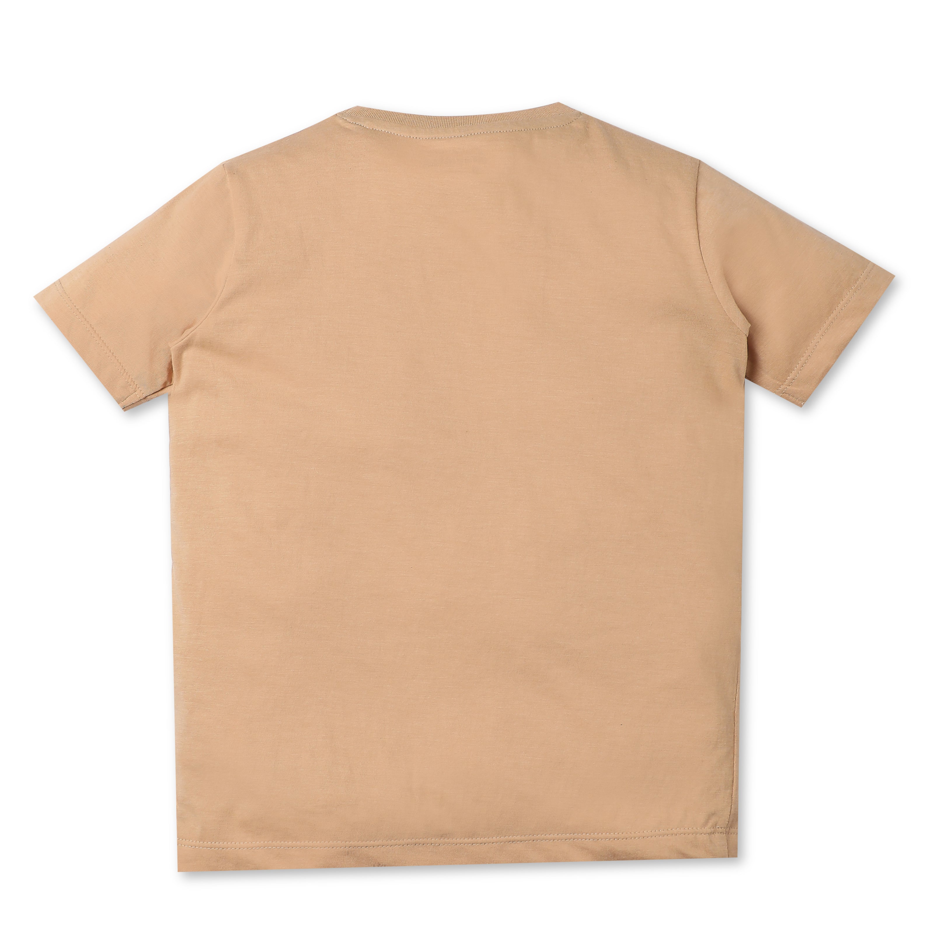 Boys Regular Fit Graphic Crew Neck T-Shirt