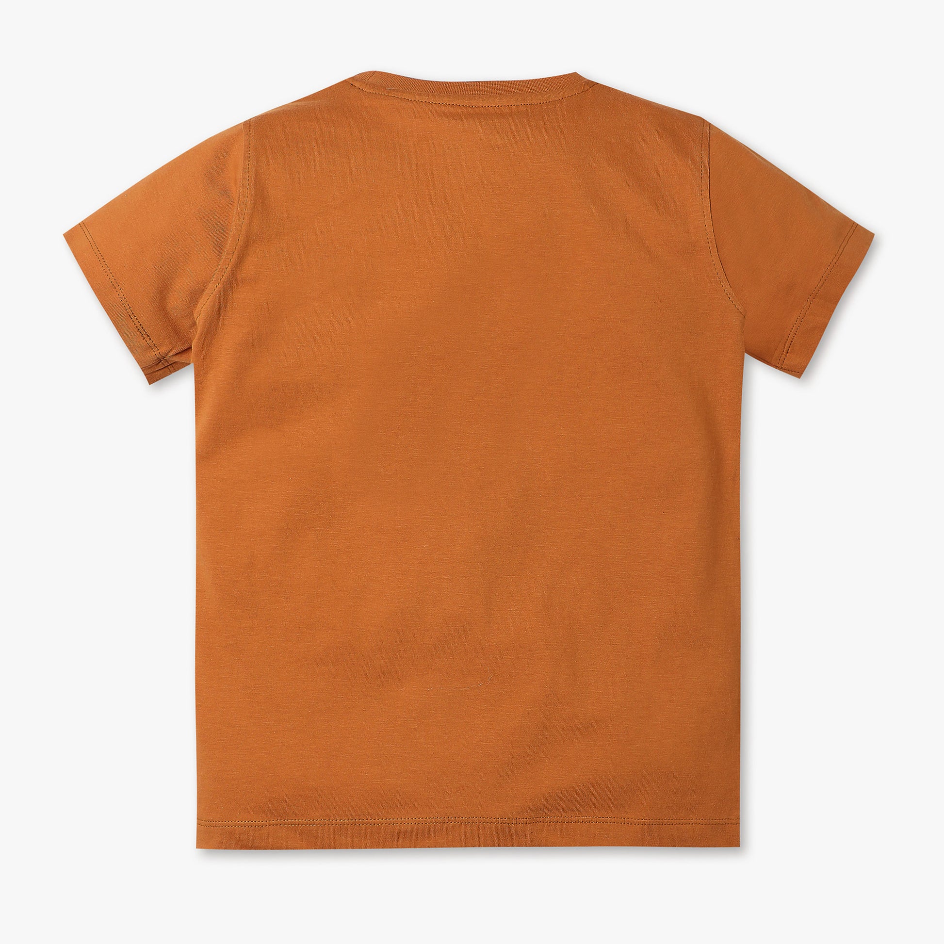 Boys Regular Fit Graphic Crew Neck T-Shirt