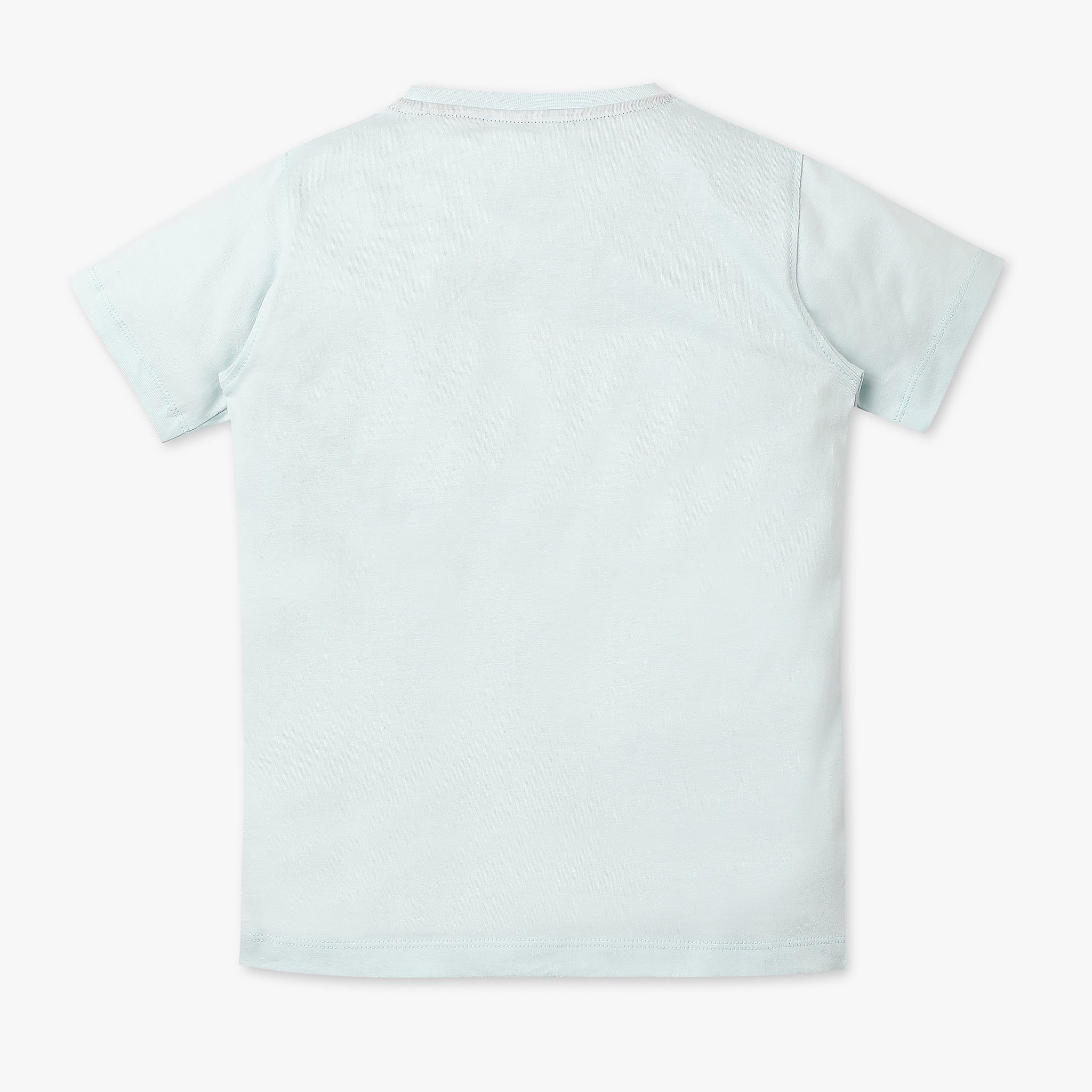 Boys Regular Fit Graphic Crew Neck T-Shirt