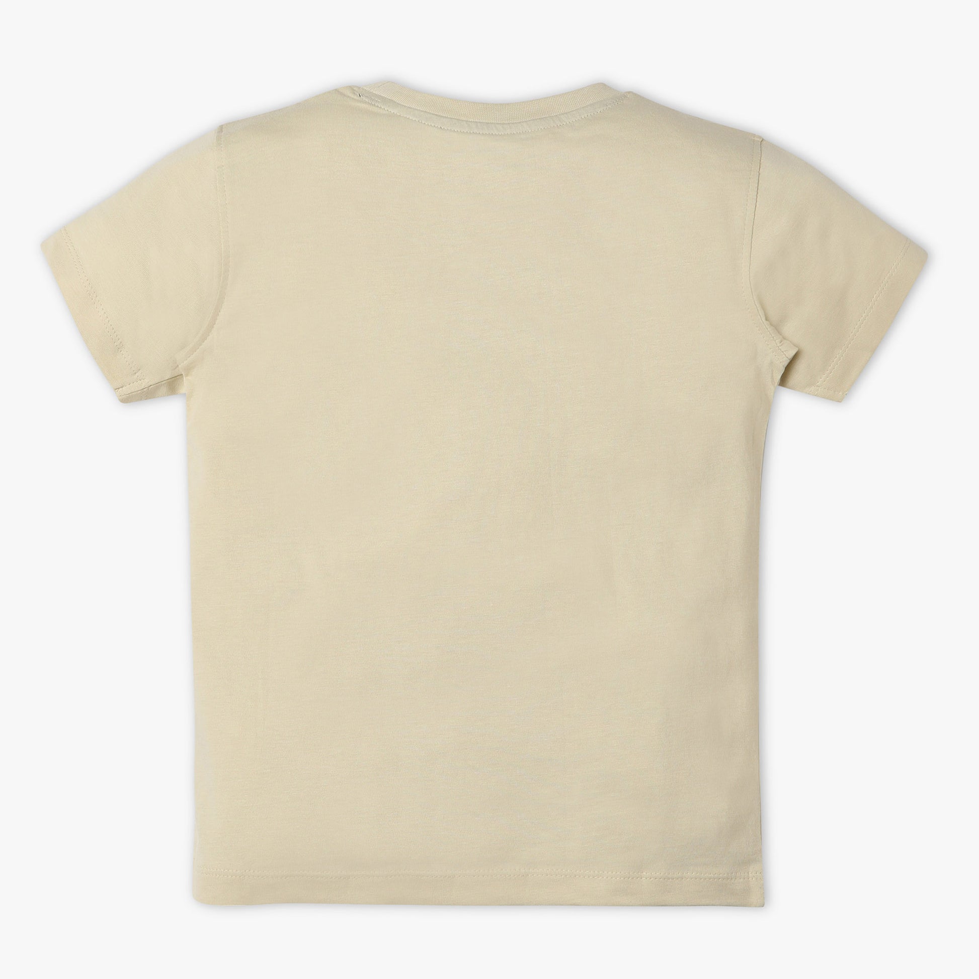 Boys Regular Fit Graphic Crew Neck T-Shirt