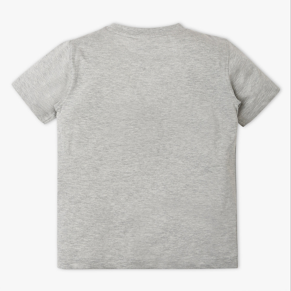 Boys Regular Fit Graphic Crew Neck T-Shirt
