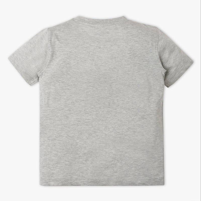 Boys Regular Fit Graphic Crew Neck T-Shirt