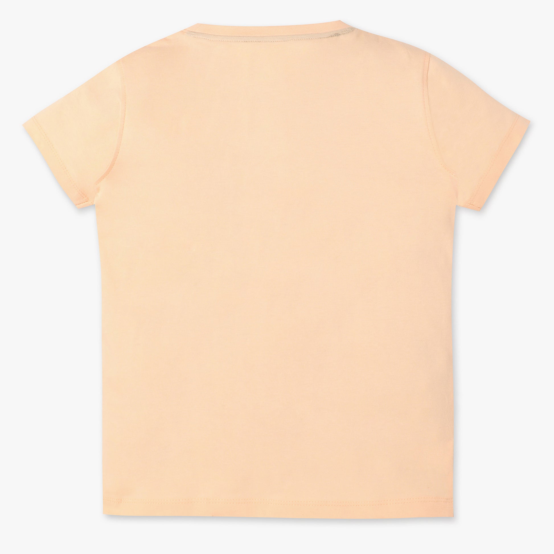 Boys Regular Fit Graphic Crew Neck Half Sleeve T-Shirt