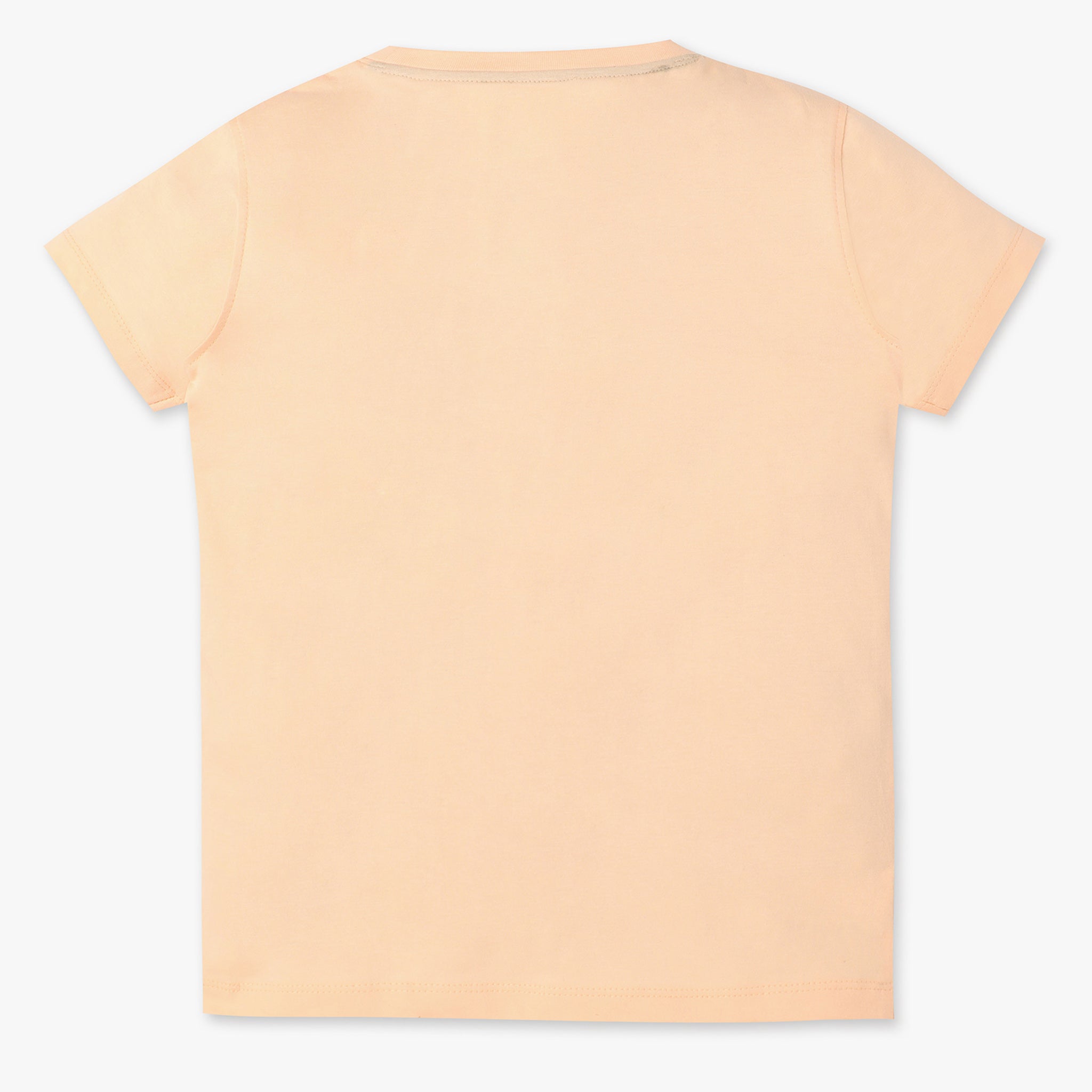 Boys Regular Fit Graphic Crew Neck Half Sleeve T-Shirt