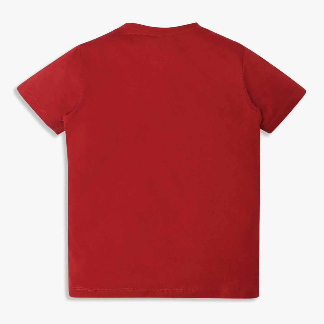 Boys Regular Fit Graphic Crew Neck T-Shirt