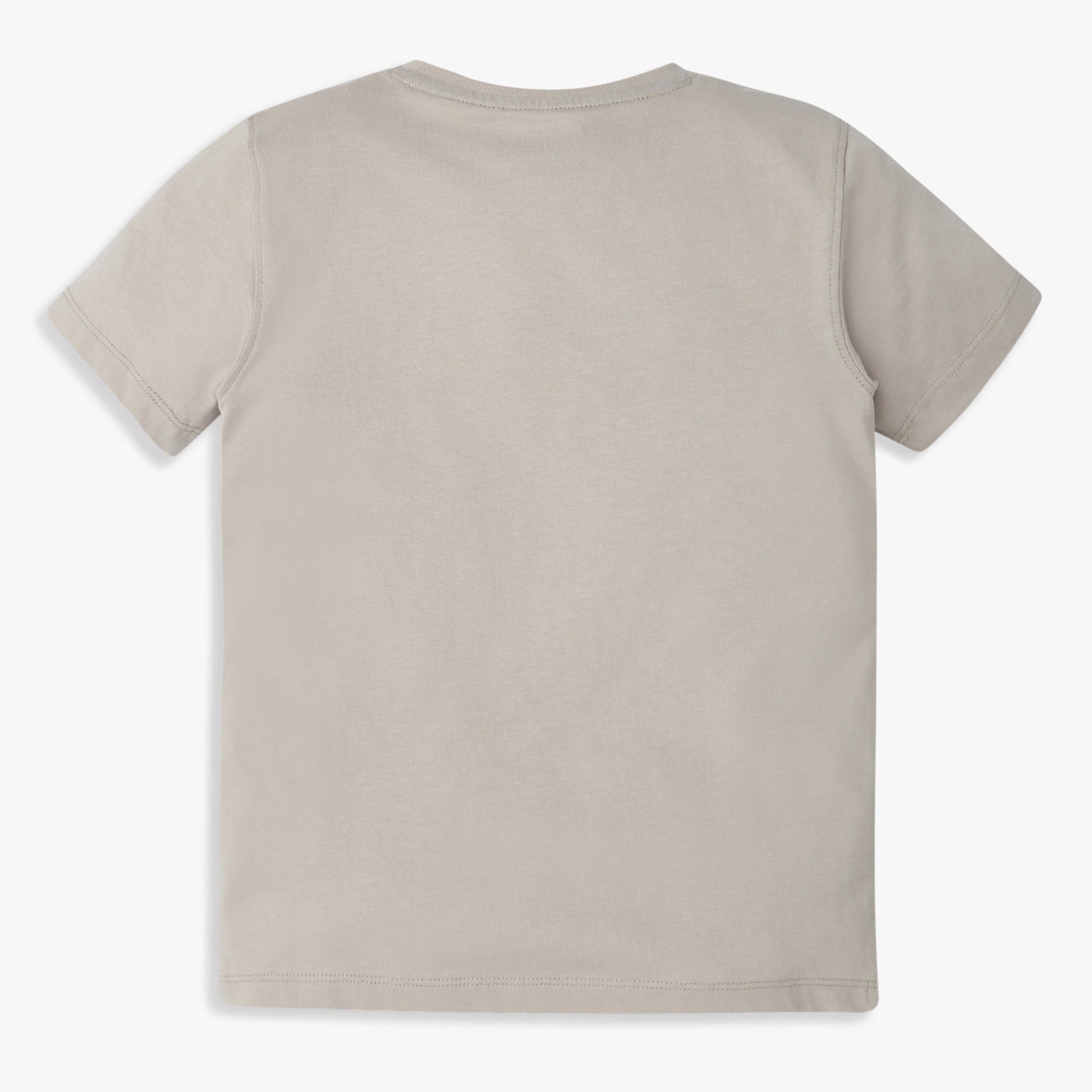 Boys Regular Fit Graphic Crew Neck T-Shirt