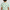 Boys Cotton Crew Neck Graphitee