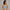 Full Coverage Seamless Beginner Pointelle Bra