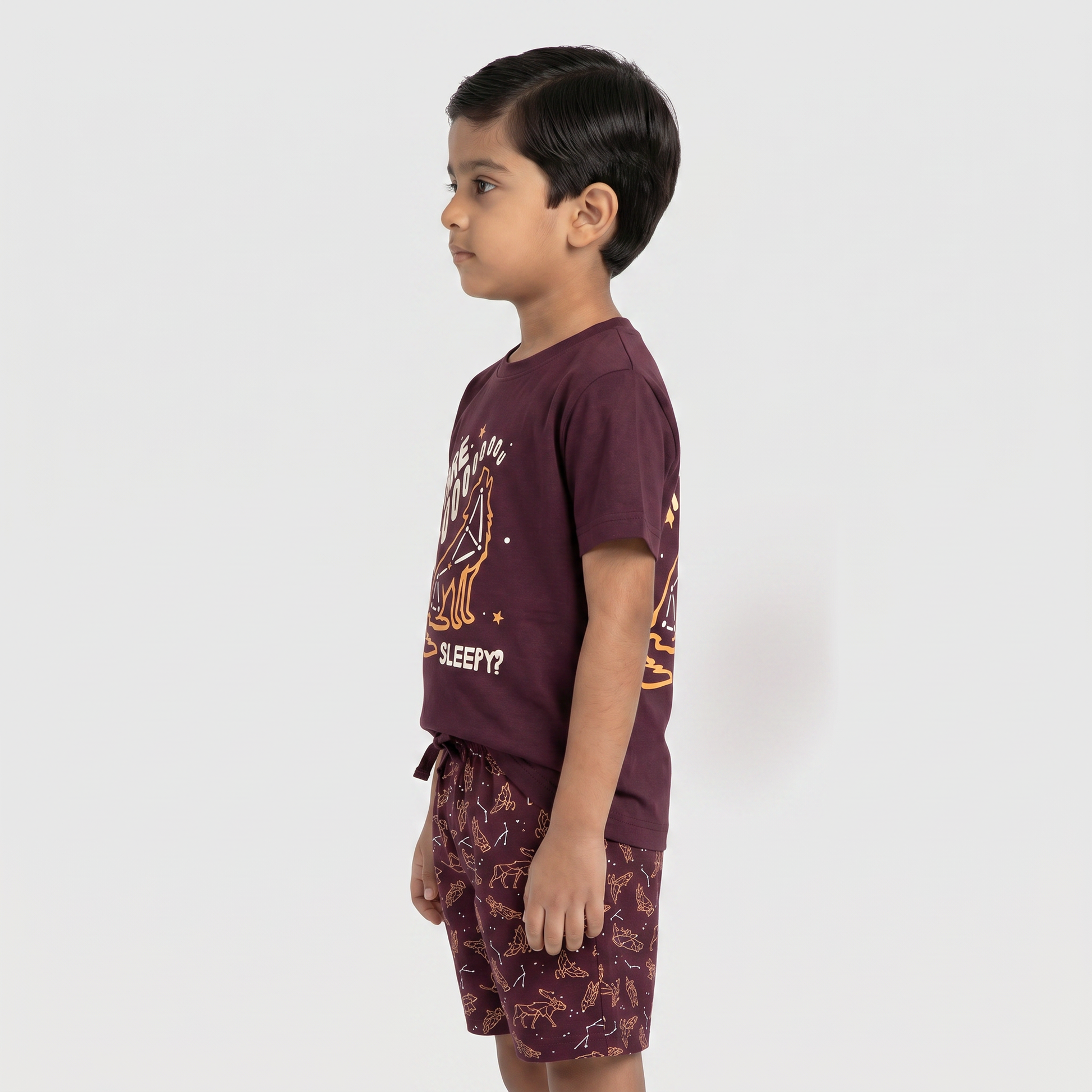 Boys Cotton Printed T-Shirt with Short Set
