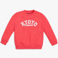Boys Regular Fit Printed Sweat Tees