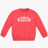 Boys Regular Fit Printed Sweat Tees