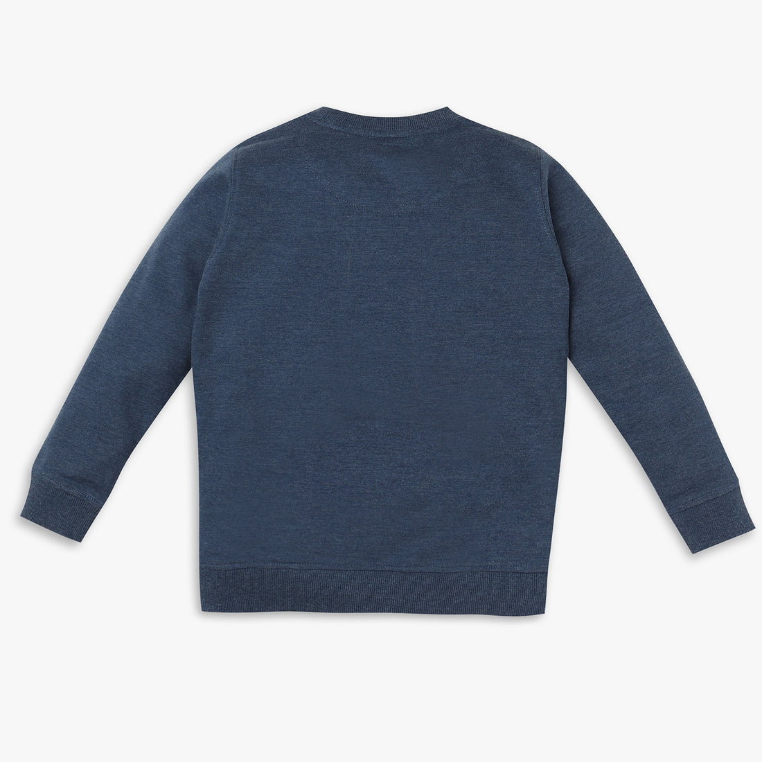 Boys Regular Fit Printed Sweat Tees
